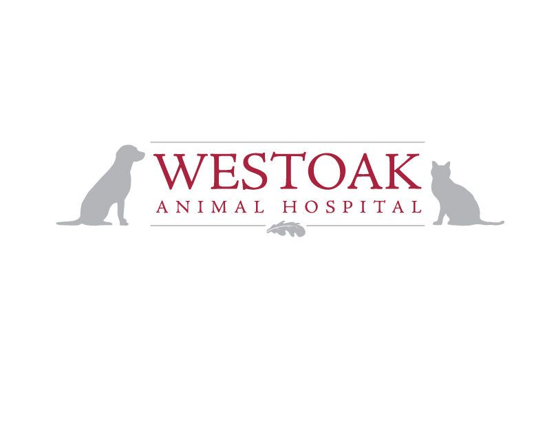 West Oak Animal Hospital